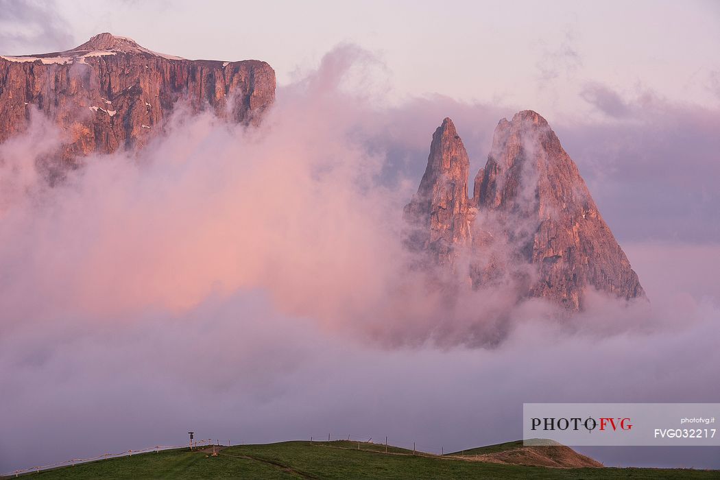 Sciliar or Schlern mountain during sunrise, Seiser Alm, dolomites, Italy