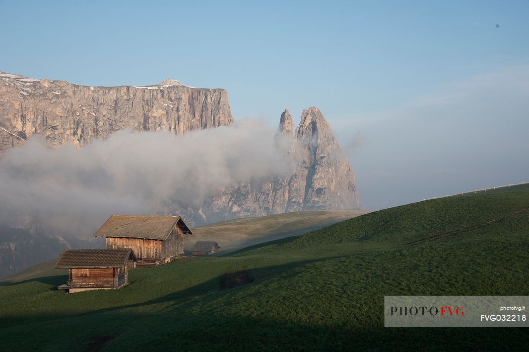 Iconic view of Sciliar Mountain from Seiser alm, dolomites, Italy