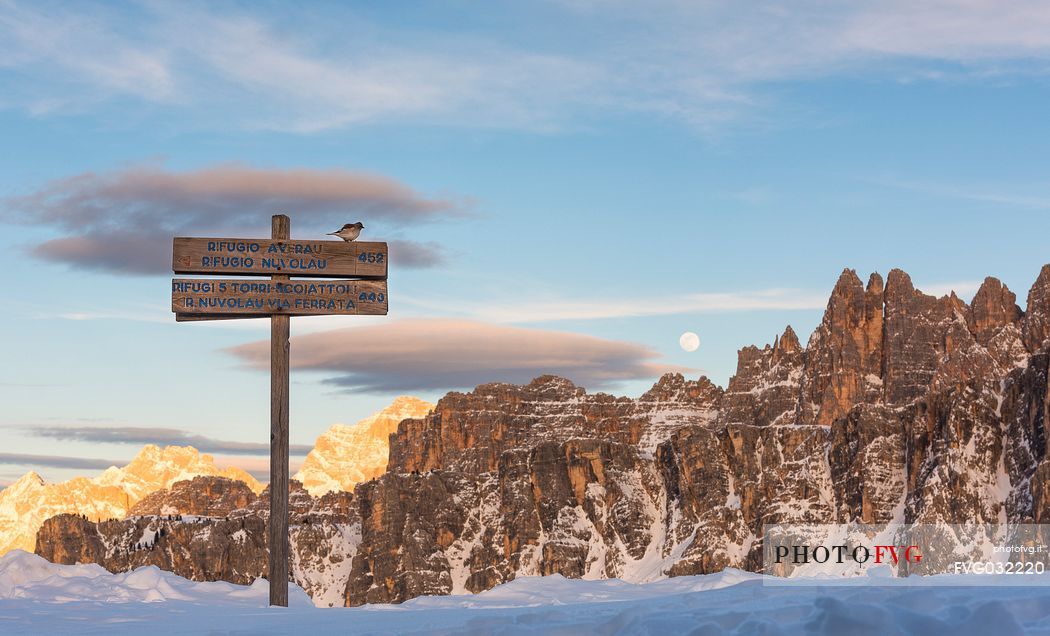 View from Passo Giau  towards Croda da Lago mount, dolomites, Italy