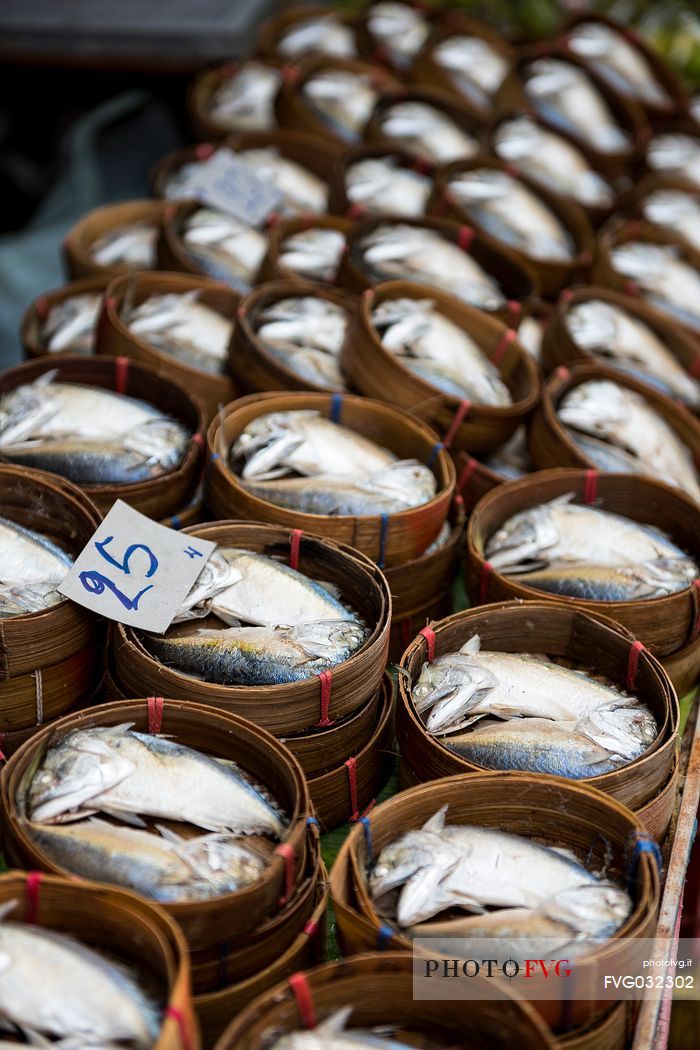 Fresh mackerels in Maeklong railway market, the famous railway market in Bangkok, Thailand
