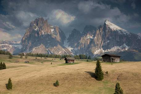 View of Sassolungo and Sassopiatto mounts from Alpe di Siusi or Seiser Alm, dolomites, Trentino Alto Adige, Italy