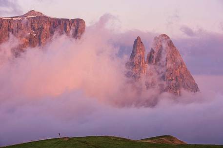 Sciliar or Schlern mountain during sunrise, Seiser Alm, dolomites, Italy
