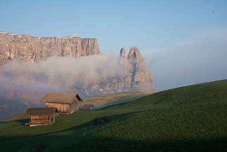 Iconic view of Sciliar Mountain from Seiser alm, dolomites, Italy