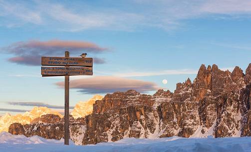 View from Passo Giau  towards Croda da Lago mount, dolomites, Italy