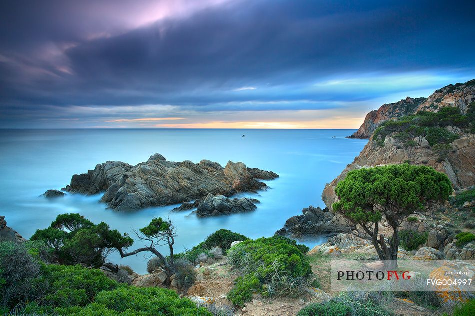 The typical Mediterranean vegetation beautifies the cliff, in the locality of Domus de Maria, at sunset.