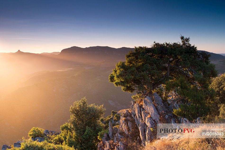 The light of dawn, in Barbagia, illuminates the vegetation, and the mountain of  