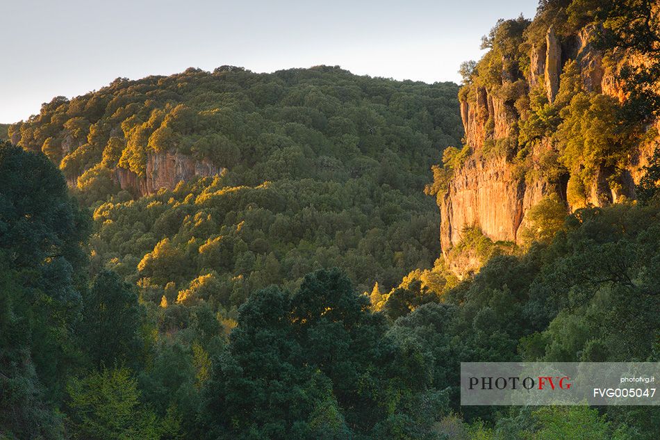 Heel limestone close to the natural monument 