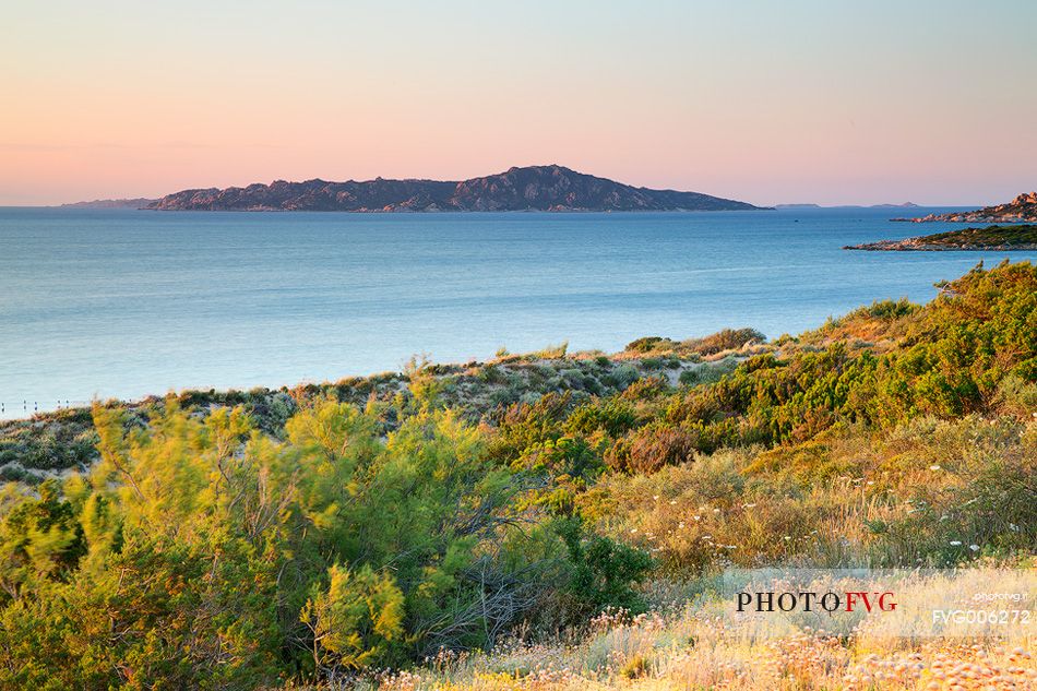 The Island of Spargi at sunset (Gallura - Sardinia)