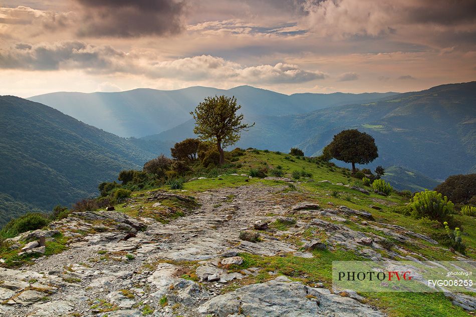 Panorama taken at sunset in Barbagia far away from a wonderful field of peonies