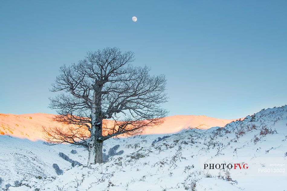 The sardinian cold winter at Gennargentu