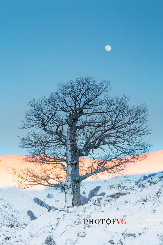 The sardinian cold winter at Gennargentu