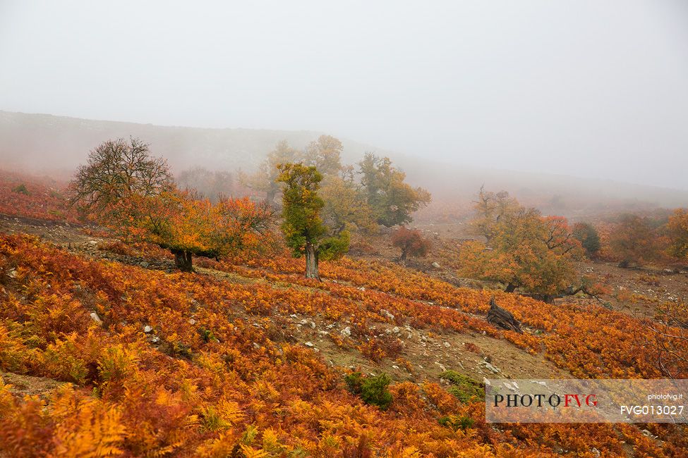 Atmosphere and fog at Monte Perdedu