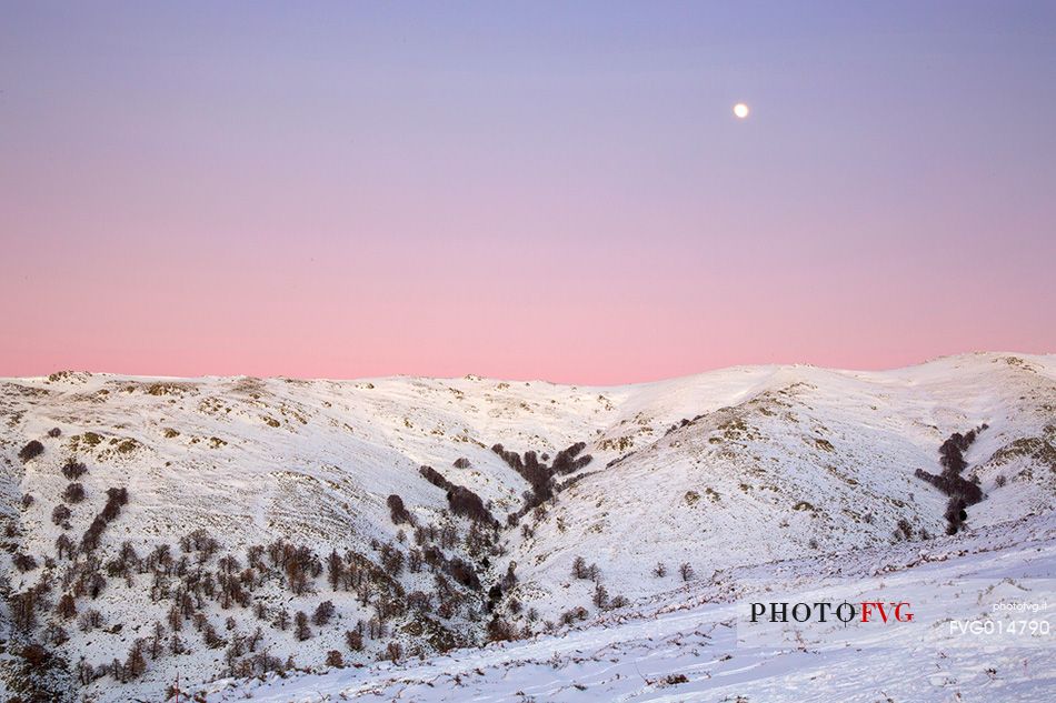 Snow cloaked in white landscape in the Barbagia of Sardinia. 