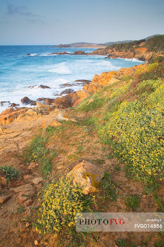 The Sardinian coast in Chia always leaves with bated breath for the beauty of its sea and smells of the Mediterranean, Domus de Maria, Sulcis-Iglesiente, Sardinia, Italy