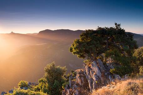 The light of dawn, in Barbagia, illuminates the vegetation, and the mountain of  