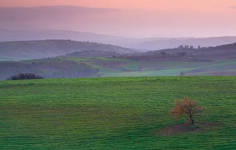 Landscape of Marmilla in Sardinia