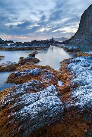 Low tide and sea salt makes abnormal and special the rocks in places Campionna, Southern Sardinia, Teulada, Sulcis-Iglesiente, Sardinia, Italy Low tide and sea salt makes abnormal and special the rocks in places Campionna, Southern Sardinia, Teulada, Sulcis-Iglesiente, Sardinia, Italy