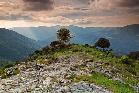 Panorama taken at sunset in Barbagia far away from a wonderful field of peonies