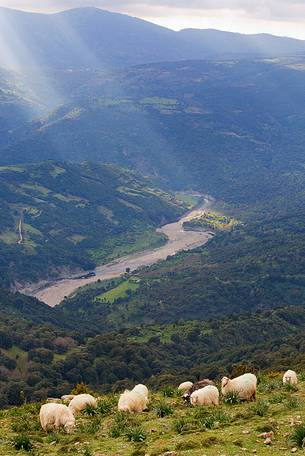 In the background the Flumendosa river illuminated by the sun rays