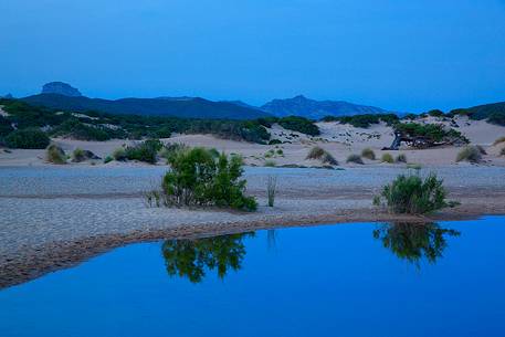 The sardinian desert of Piscinas at blue hour, Arbus, Sardinia, Italy