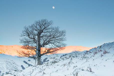 The sardinian cold winter at Gennargentu