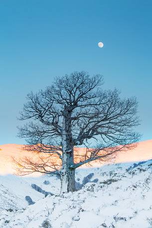 The sardinian cold winter at Gennargentu