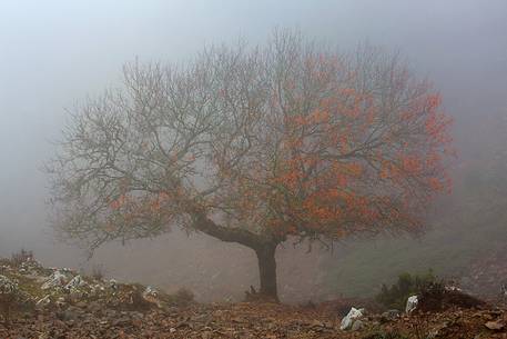 Atmosphere and fog at Monte Perdedu