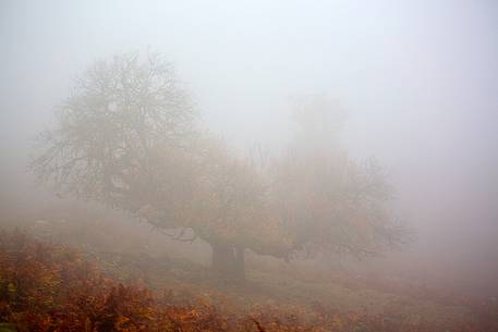 Atmosphere and fog at Monte Perdedu