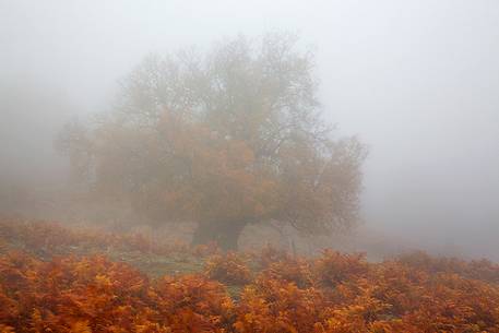 Atmosphere and fog at Monte Perdedu