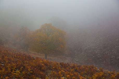 Atmosphere and fog at Monte Perdedu