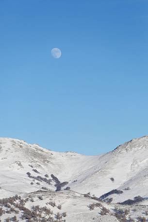 Snow cloaked in white landscape in the Barbagia of Sardinia. 