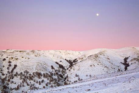 Snow cloaked in white landscape in the Barbagia of Sardinia. 