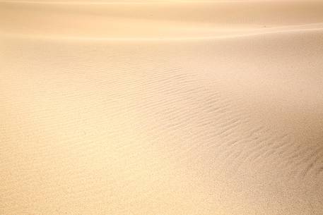 Detail of Piscinas dune, the colors of a warm sunset, the dunes, the desert of Sardinia, a place full of magic, unique in the Mediterranean, Arbus, Sardinia Detail of Piscinas dune, the colors of a warm sunset, the dunes, the desert of Sardinia, a place full of magic, unique in the Mediterranean, Arbus, Sardinia