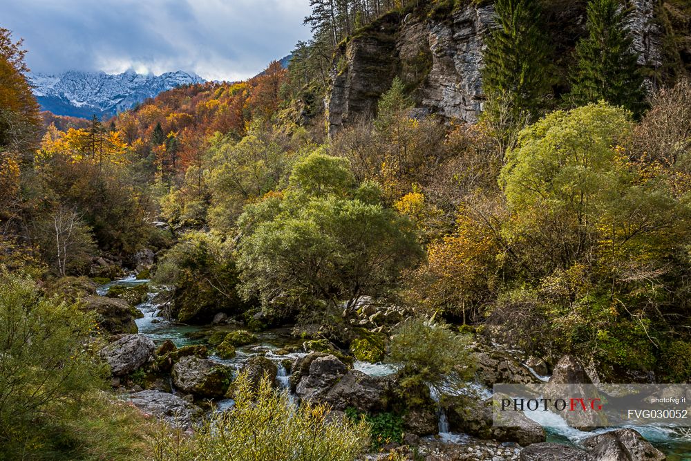 The River Barman and the Canin mount on autumn colors, Resia valley, Friuli Venezia Giulia, Italy.