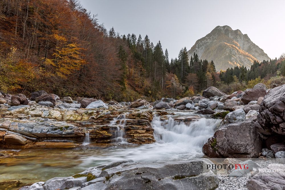Slizza river in the autumn, Tarvisio, Friuli Venezia Giulia, Italy