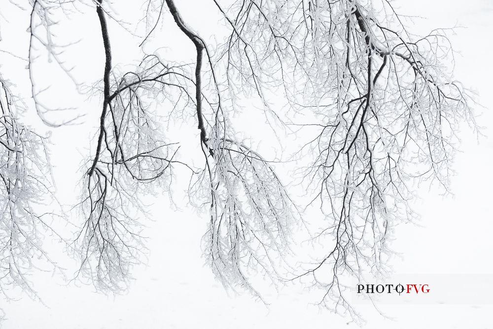 Winter in Plitvice Lakes National Park, Lika-Senj County, Karlovac County, Croatia.