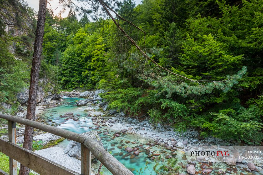 The Slizza gorge or Orrido dello Slizza in the Julian Alps, Tarvisio, Friuli Venezia Giulia, Italy.