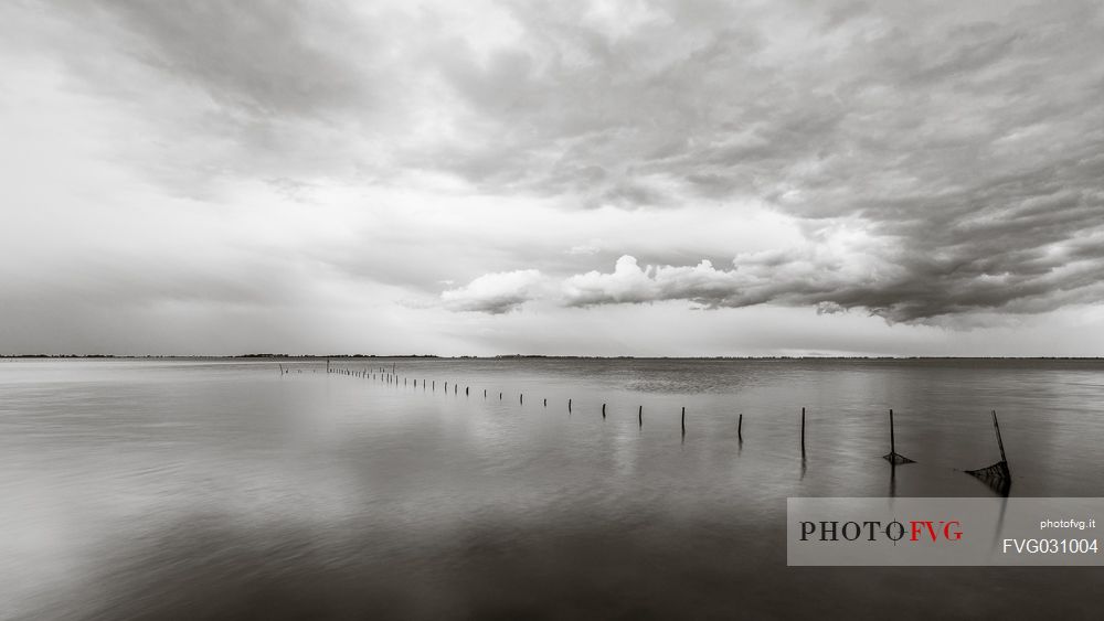 Estuary of the river Aussa Corno, San Giorgio di Nogaro, Marano Lagoon, Friuli Venezia Giulia, Italy. 