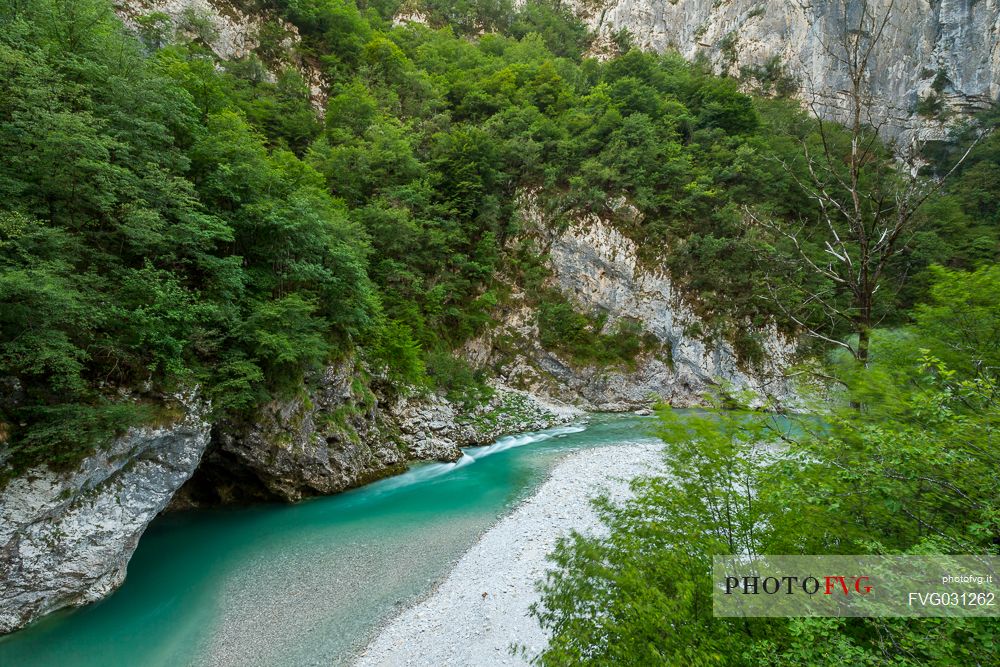 Forra del Cellina natural reserve, dolomites friulane, Friuli Venezia Giulia, Italy.