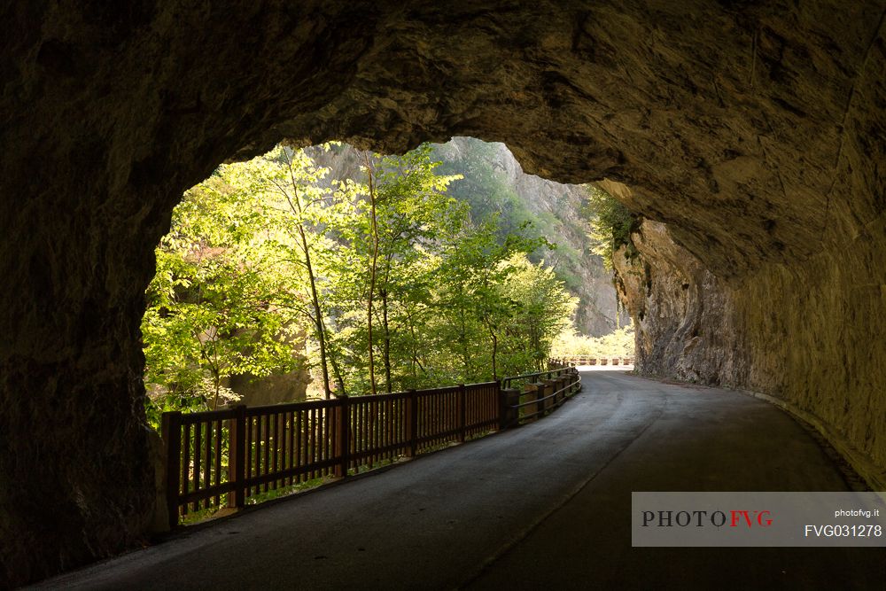 The old road of Valcellina in the Cellina Ravine Reserve, dolomites friuliane, Friuli Venezia Giulia, Italy.