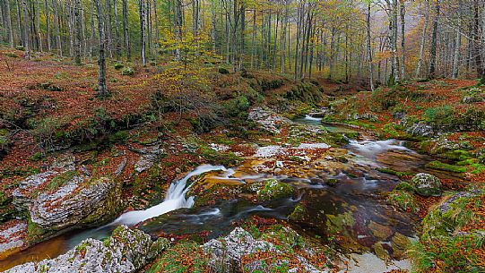 Autum time in Arzino River, Friuli Venezia Giulia, Italy