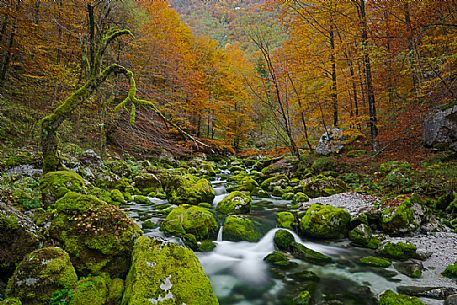 The River Barman on autumn colors, Resia valley, Friuli Venezia Giulia, Italy.