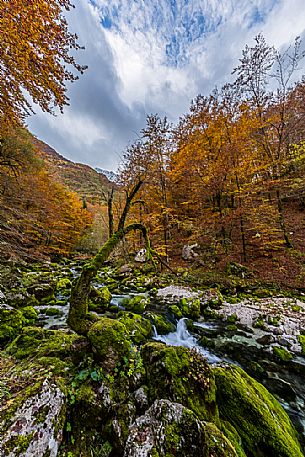 The River Barman on autumn colors, Resia valley, Friuli Venezia Giulia, Italy.