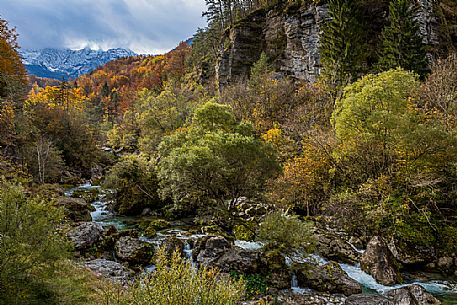 The River Barman and the Canin mount on autumn colors, Resia valley, Friuli Venezia Giulia, Italy.