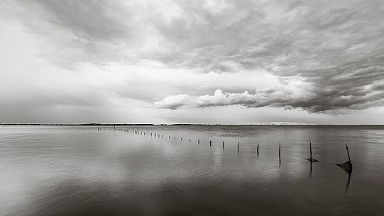 Estuary of the river Aussa Corno, San Giorgio di Nogaro, Marano Lagoon, Friuli Venezia Giulia, Italy. Estuary of the river Aussa Corno, San Giorgio di Nogaro, Marano Lagoon, Friuli Venezia Giulia, Italy.