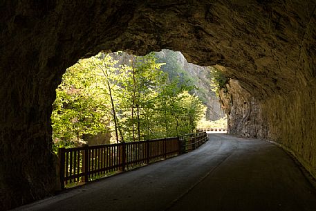 The old road of Valcellina in the Cellina Ravine Reserve, dolomites friuliane, Friuli Venezia Giulia, Italy. The old road of Valcellina in the Cellina Ravine Reserve, dolomites friuliane, Friuli Venezia Giulia, Italy.