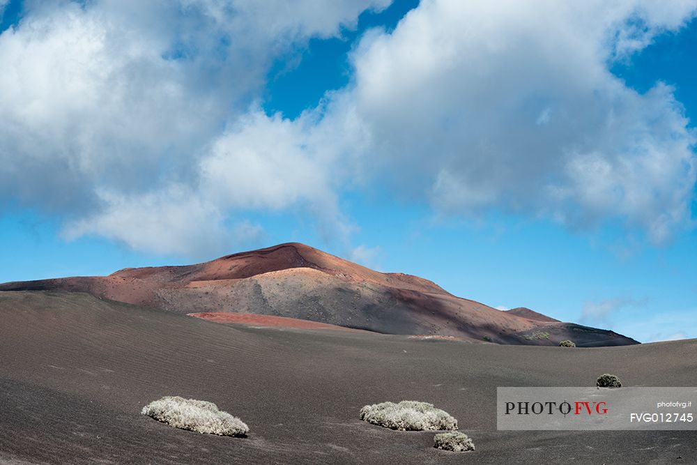 Volcano in the Tymanfaya national park, Lanzarote, Canary islands, Spain, Europe