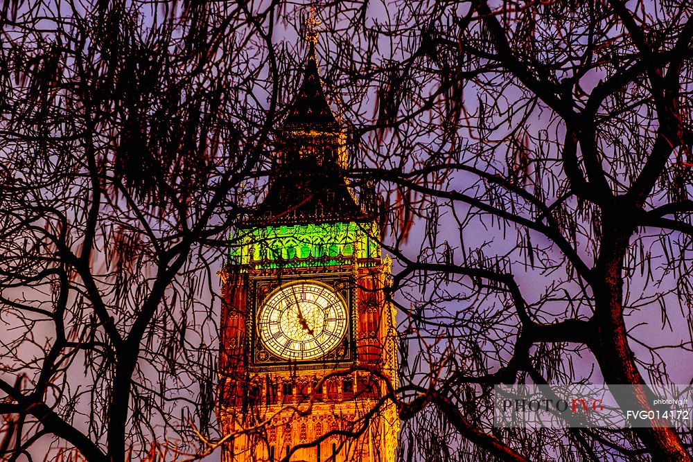 The Big Ben Tower through the trees illuminated at sunset, London, England, United Kingdom, Europe