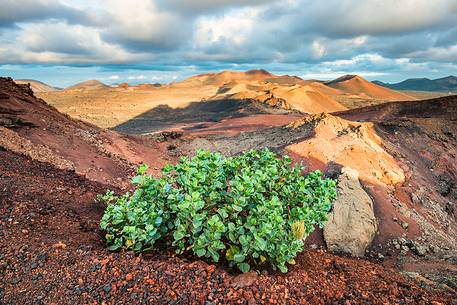 Volcanic craters in the Timanfaya national park, Lanzarote, Canary island, Spain, Europe