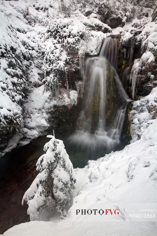 The magic of the Aspromonte photographed in snowy winter